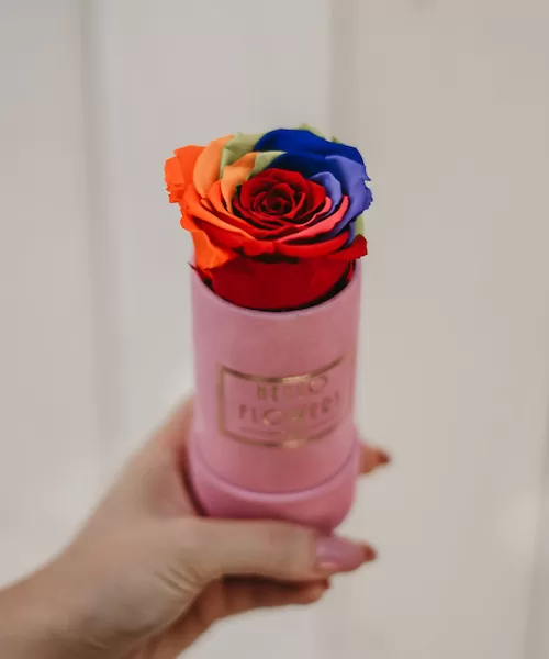 Tęczowa wieczna róża w mini różowym boxie | kwiaty w pudełku - flower box